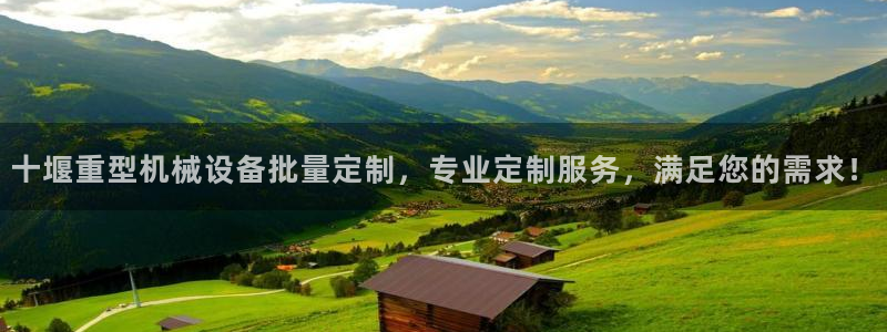 十堰重型机械设备批量定制，专业定制服务，满足您的需求！