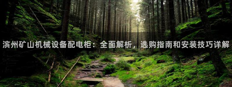 杏盛东24 35 53：滨州矿山机械设备配电柜：全面解析，选购指南和安装技巧详解