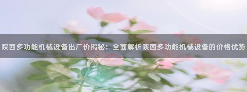 陕西多功能机械设备出厂价揭秘：全面解析陕西多功能机械设备的价格优势