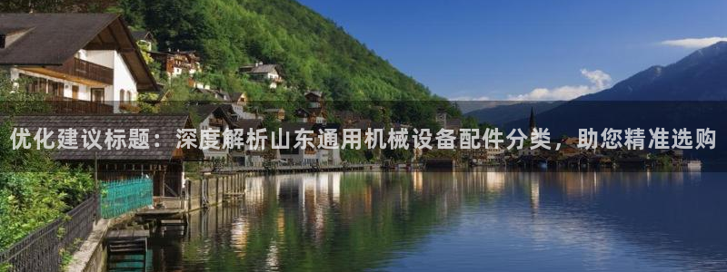 杏盛东24 35 53：优化建议标题：深度解析山东通用机械设备配件分类，助您精准