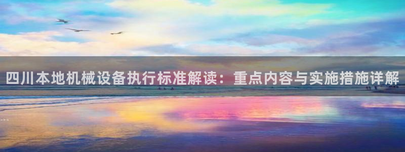 杏盛主管：四川本地机械设备执行标准解读：重点内容与实施措施详解