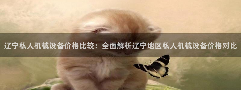 杏盛开户地址：辽宁私人机械设备价格比较：全面解析辽宁地区私人机械设备价格对比