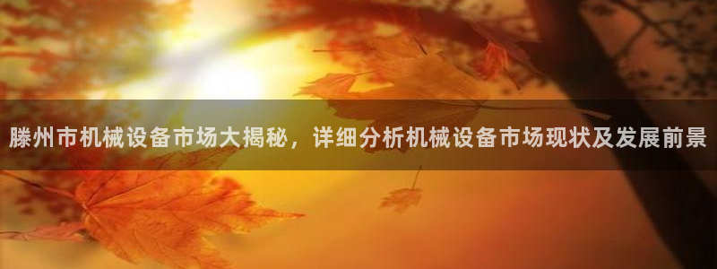 杏盛app下载：滕州市机械设备市场大揭秘，详细分析机械设备市场现状及发展前景