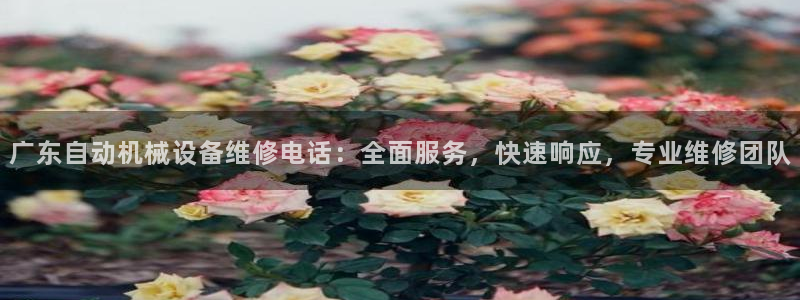 杏盛平台上级：广东自动机械设备维修电话：全面服务，快速响应，专业维修团队