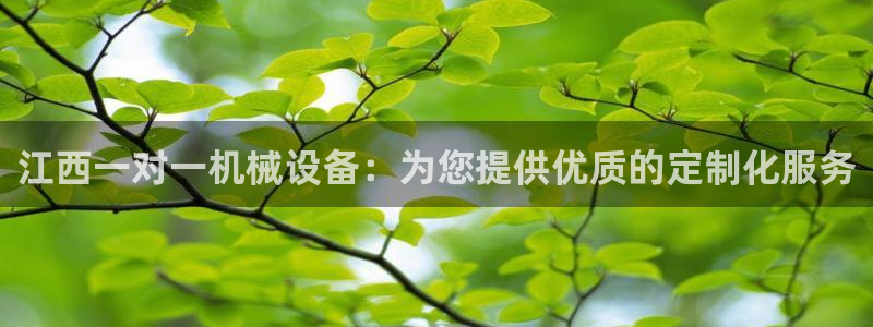 杏盛官网：江西一对一机械设备：为您提供优质的定制化服务