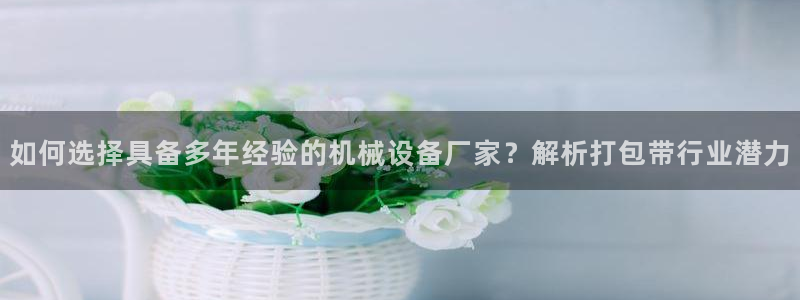 杏盛官方平台：如何选择具备多年经验的机械设备厂家？解析打包带行业潜力