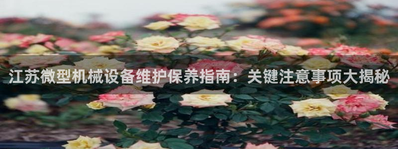 杏盛平台注册登录：江苏微型机械设备维护保养指南：关键注意事项大揭秘