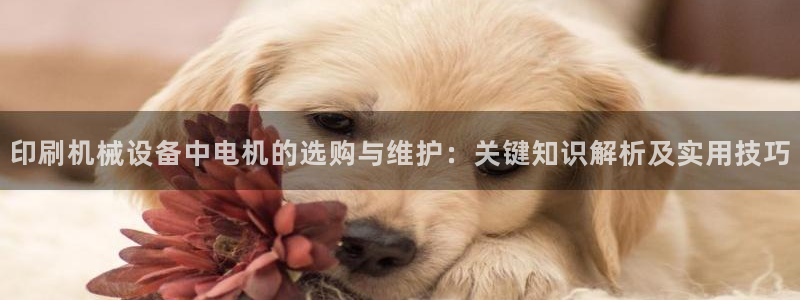 杏盛平台官网：印刷机械设备中电机的选购与维护：关键知识解析及实用技巧