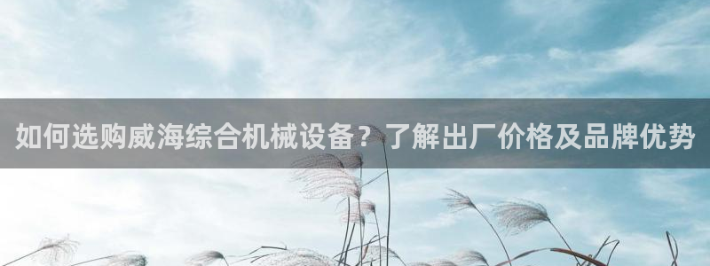 杏盛平台注册登录：如何选购威海综合机械设备？了解出厂价格及品牌优势