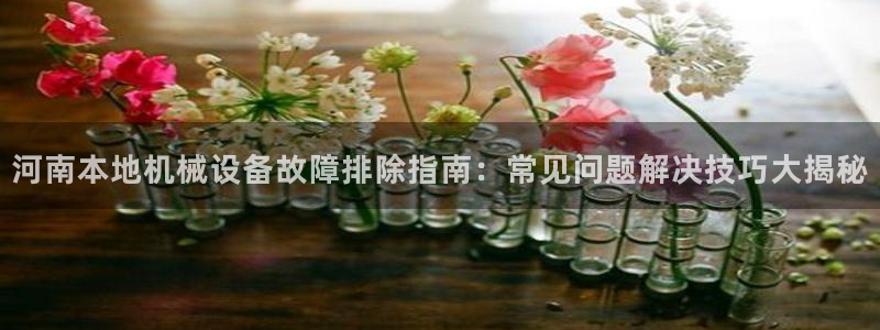 杏盛官网：河南本地机械设备故障排除指南：常见问题解决技巧大揭秘