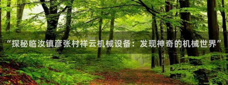 杏盛开户地址：“探秘临汝镇彦张村祥云机械设备：发现神奇的机械世界”
