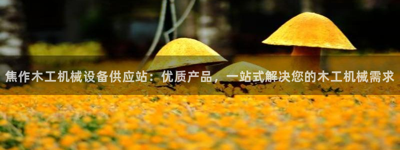 杏盛平台主管：焦作木工机械设备供应站：优质产品，一站式解决您的木工机械需求
