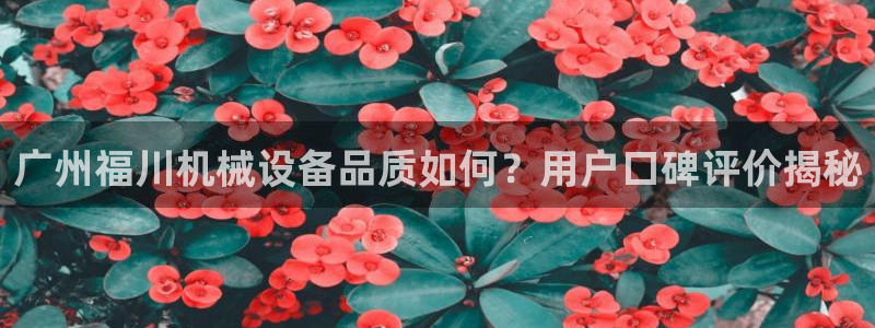 杏盛娱乐代理：广州福川机械设备品质如何？用户口碑评价揭秘