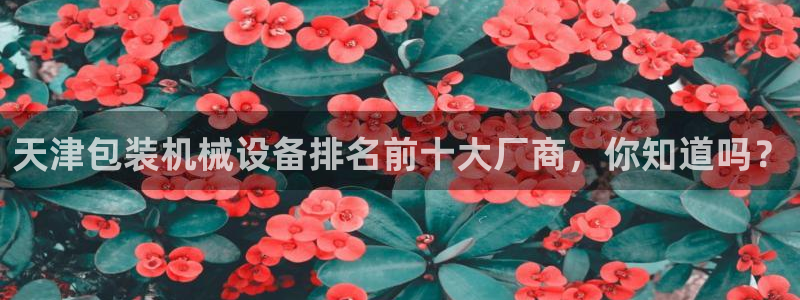 杏盛平台登录地址：天津包装机械设备排名前十大厂商，你知道吗？