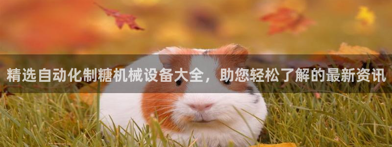 杏盛乐岳35994誓：精选自动化制糖机械设备大全，助您轻松了解的最新资讯