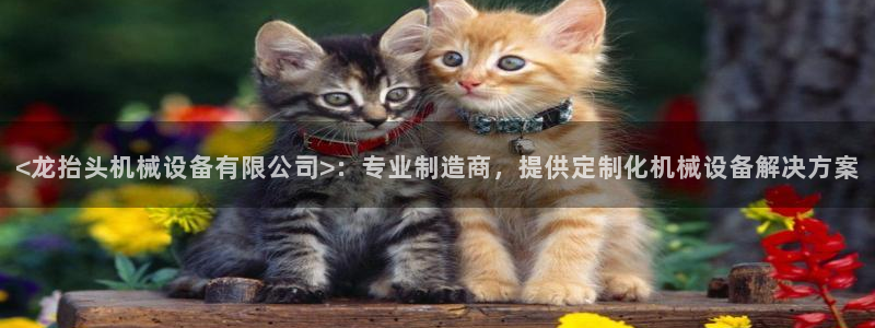 杏盛平台登陆地址：<龙抬头机械设备有限公司>：专业制造商，提供定制化机械设备解决