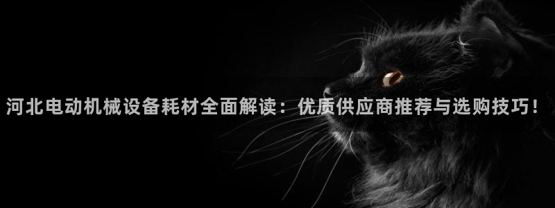 杏盛平台主管：河北电动机械设备耗材全面解读：优质供应商推荐与选购技巧！