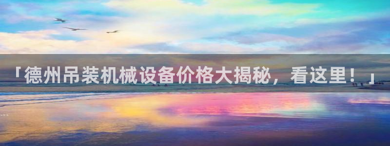 杏盛平台官网：「德州吊装机械设备价格大揭秘，看这里！」
