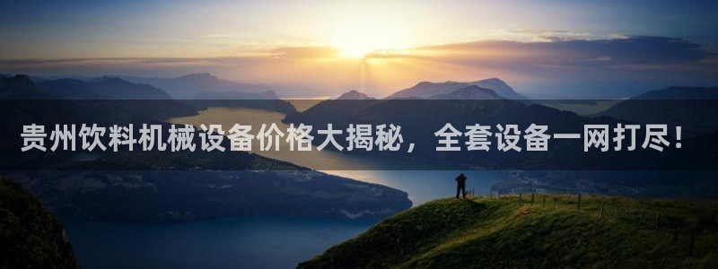 杏盛官网登录：贵州饮料机械设备价格大揭秘，全套设备一网打尽！
