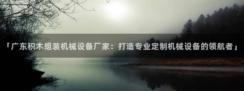 杏盛娱乐代理：「广东积木组装机械设备厂家：打造专业定制机械设备的领航者」