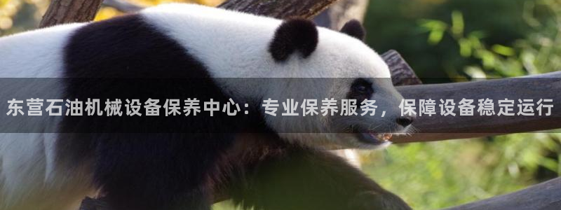 杏盛平台注册登录：东营石油机械设备保养中心：专业保养服务，保障设备稳定运行