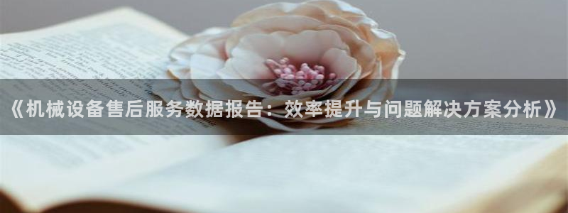 杏盛平台代理：《机械设备售后服务数据报告：效率提升与问题解决方案分析》