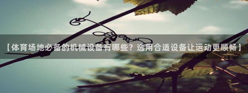 杏盛平台代理：【体育场地必备的机械设备有哪些？选用合适设备让运动更顺畅】