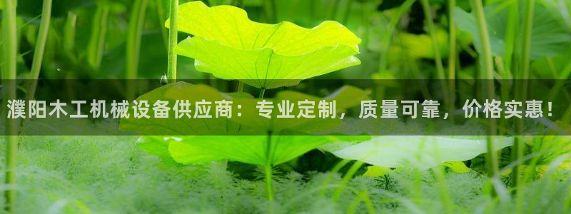 杏盛平台代理注册：濮阳木工机械设备供应商：专业定制，质量可靠，价格实惠！
