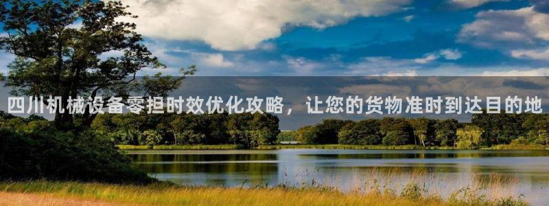 杏盛注册登录：四川机械设备零担时效优化攻略，让您的货物准时到达目的地