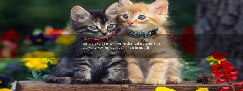 杏盛主管：Complete Guide to Common Mechanical