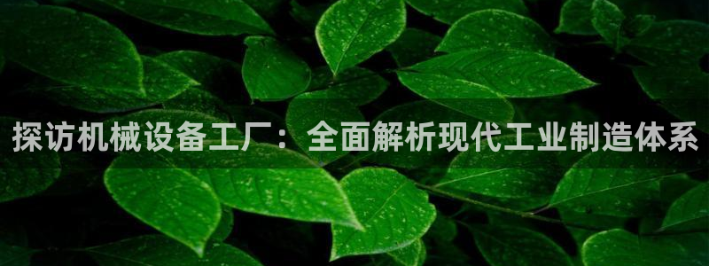 杏盛平台：探访机械设备工厂：全面解析现代