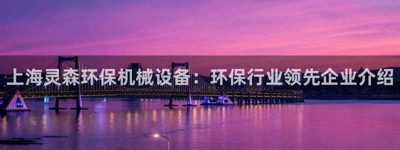 杏盛官网登录：上海灵森环保机械设备：环保行业领先企业介绍