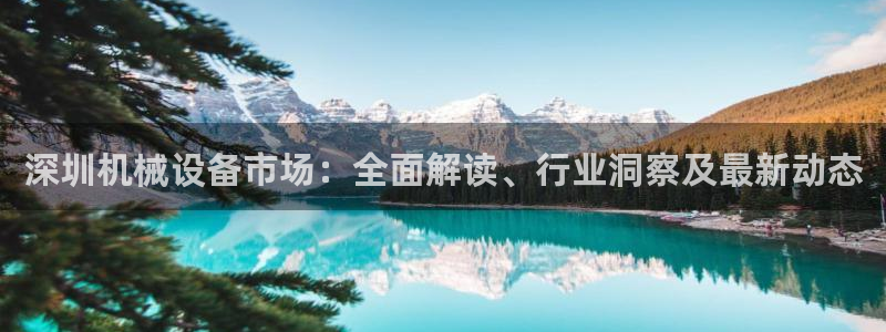 杏盛平台上级：深圳机械设备市场：全面解读、行业洞察及最新动态