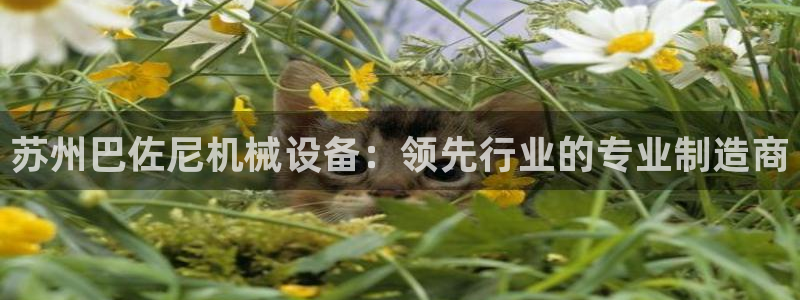 杏盛开户地址：苏州巴佐尼机械设备：领先行业的专业制造商