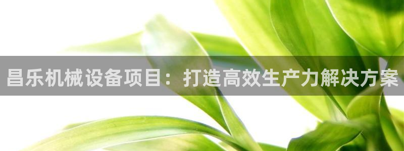 杏盛平台登陆：昌乐机械设备项目：打造高效生产力解决方案