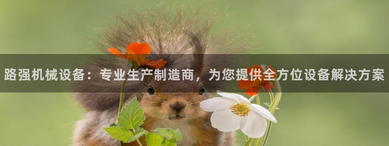 杏盛平台登录地址：路强机械设备：专业生产制造商，为您提供全方位设备解决方案