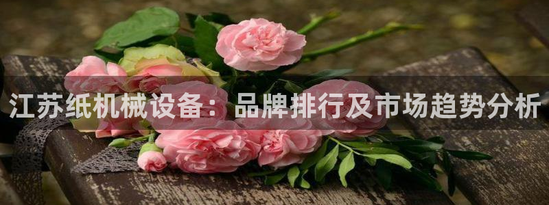 杏盛平台官网：江苏纸机械设备：品牌排行及市场趋势分析