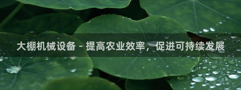 杏盛注册登录