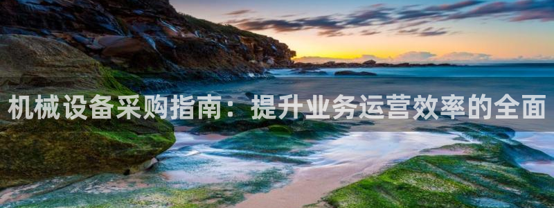 杏盛平台开户