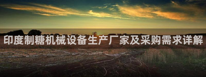 杏盛东24 35 53