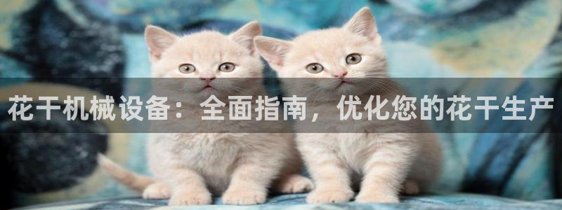 杏盛代理