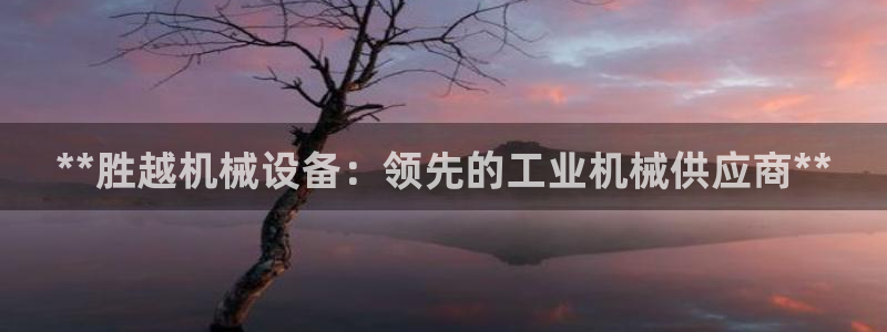 杏盛官网登录