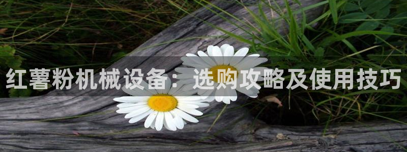 杏盛平台代理