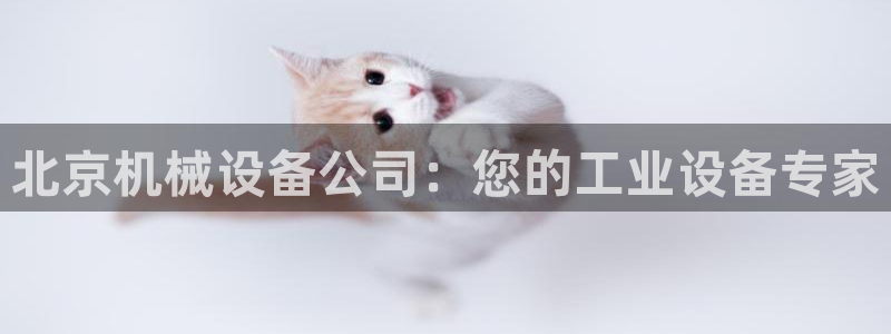 杏盛平台代理注册