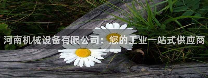 杏盛平台