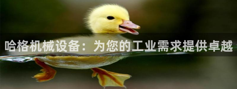 杏盛平台登陆