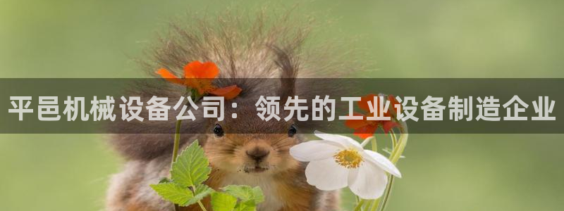 杏盛代理