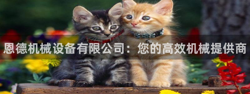 杏盛注册登录