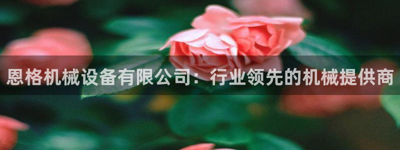 杏盛开户地址
