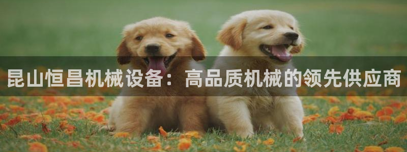 杏盛平台注册